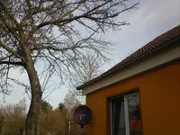 Baumsperre.webp