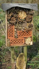Insektenhotel (2).webp