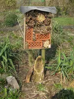 Insektenhotel.webp