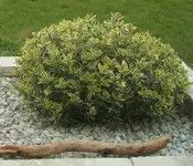 Aug Haus 0081.webp