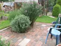 DSCN3108.webp