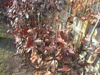 IMG_0039.webp