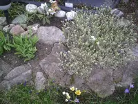 Teich2.18.03.2012.webp