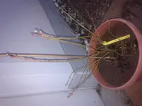 20120318_182349.webp