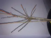 20120318_182505.webp