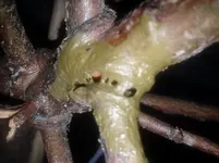 20120318_182521.webp