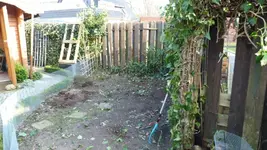 P1020216.webp