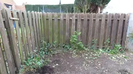 P1020239.webp
