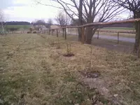 Hecke1_12.webp