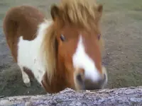 Lotti1_12.jpg