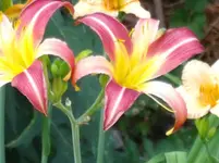DSCF0062.webp