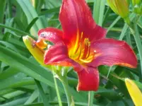 DSCF0063.webp