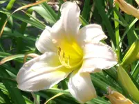 DSCF0066.webp