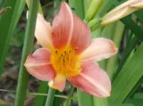 DSCF0067.webp