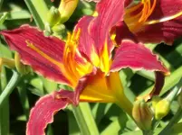 DSCF0068.webp
