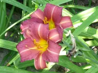 DSCF0070.webp