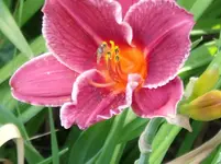 DSCF0081.webp