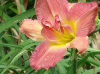 DSCF0102.webp