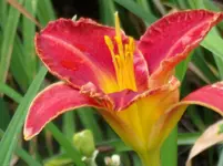 DSCF0103.webp