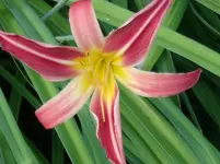 DSCF0104.webp