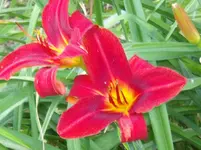 DSCF0105.webp