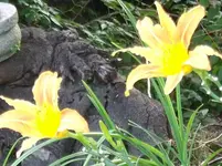 DSCF0106.webp