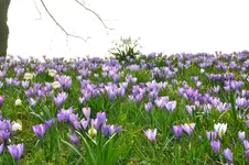 DSC_0112.webp
