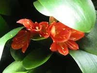 027.webp