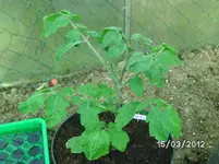 001.webp