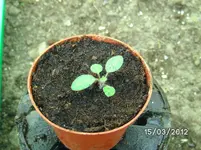 BILD0599.webp