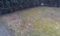 IMAG0111.webp