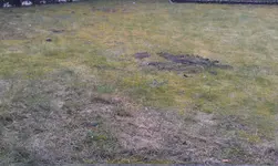 IMAG0112.webp