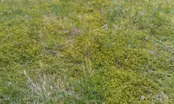IMAG0116.webp