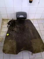 IMAG0218.webp