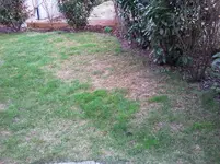 Bilder 2010.webp