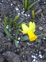DSC00006.webp