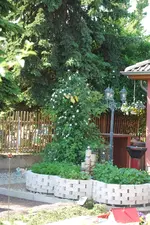 DSC_0004.webp