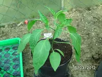 k-BILD0593.webp