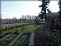 Garten.webp
