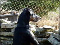 Branko 16.03 (6).webp