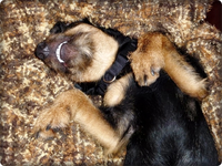Relaxed.webp