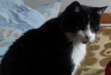 Becky 1.webp