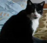 Becky 2.webp