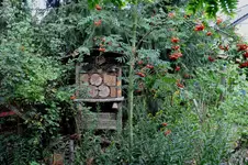 Insektenhotel.webp