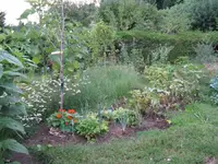 IMG_6618.webp