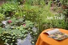 Am Teich.webp