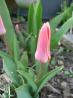 IMG_8144.webp