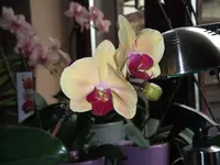 DSCF1646.webp