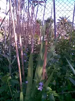 Bild002.webp
