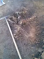 Bild004.webp